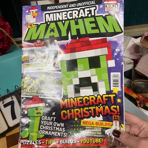 Minecraft bundle - Picture 9 of 16